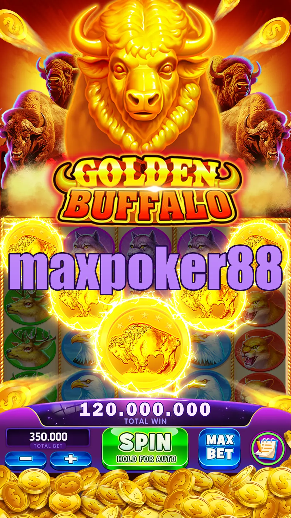 maxpoker88 Preview